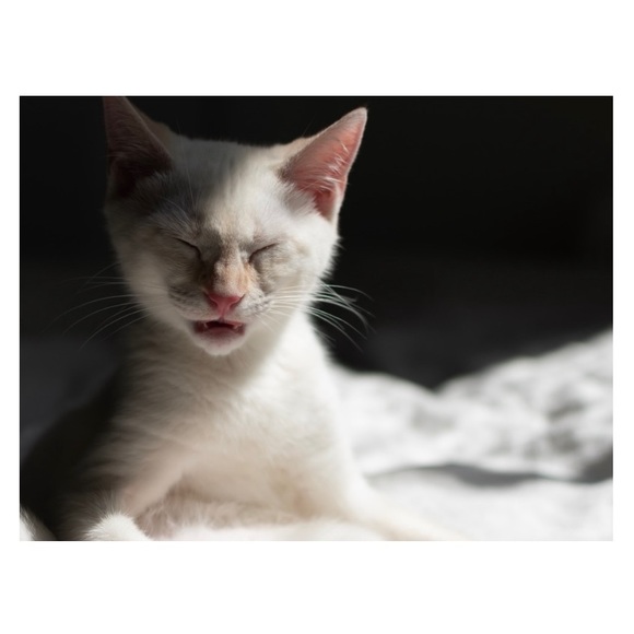 • bookmark • - Picture 2 of 2